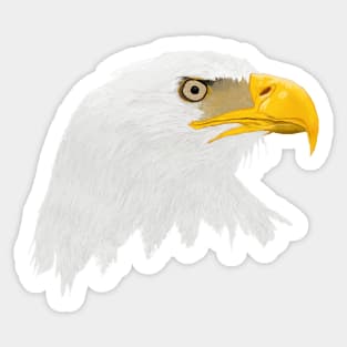 Bald Eagle Sticker